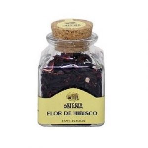Flor de Hibisco
